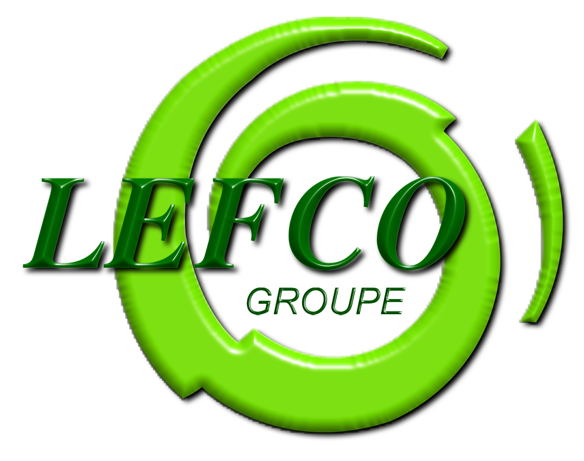 LOGO LEFCO relief groupe 
